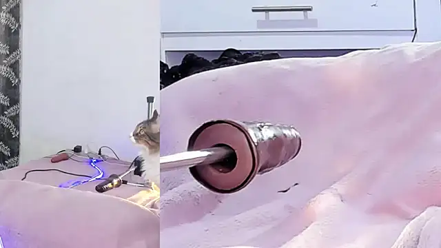 Chat XXX Live lacii_lost