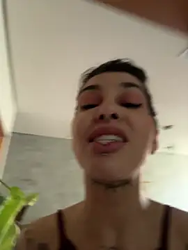 Nikatsu 现场XXX聊天