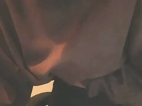 JPTopModel Pertunjukan Webcam