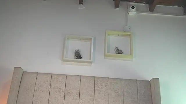 patty_mのライブXXXチャット