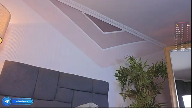 missatenea Live XXX-Chat