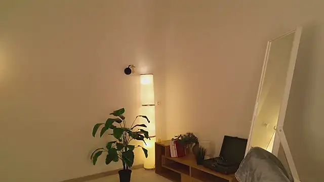 Pertunjukan Kamera Web tinapie