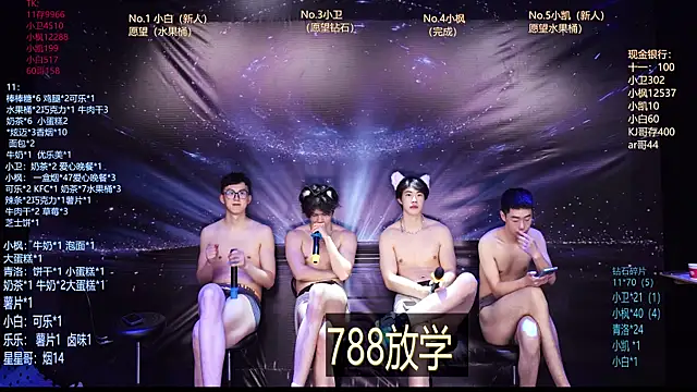 Show webcam de Dzboy-003