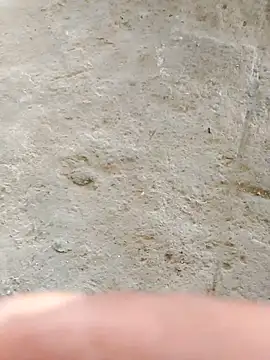 Show de webcam de Paugostoso270515