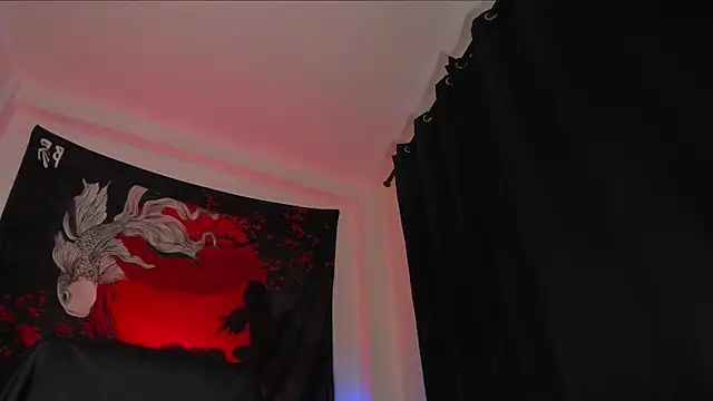 nathan_blaken Webbikameraesitys