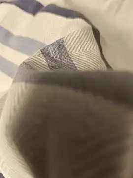 Czat XXX na żywo – Donbestupidla