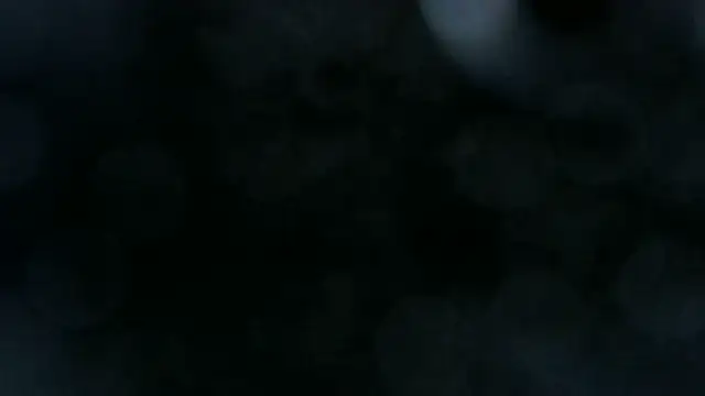 0815lukas2024 Webcam-Show