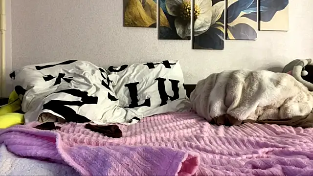 Chat XXX Live BeckyAurielle