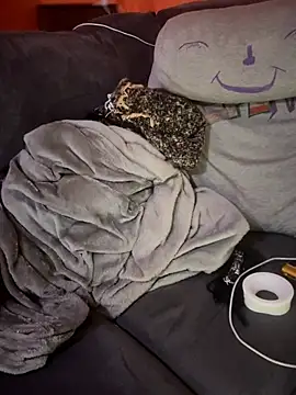 pervy_devil 라이브 XXX 채팅