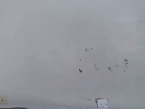 Rasta_tattooed Chat XXX in diretta