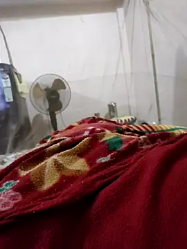 PIG_FUCKER_DADDY: διαδικτυακό σόου στην κάμερα