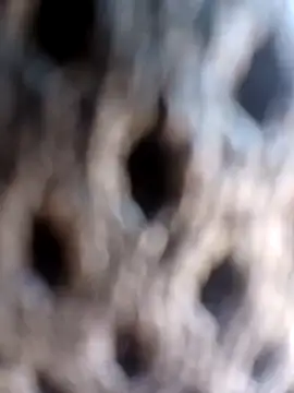 ejthedancer Adlı Modelin Canlı XXX Sohbeti