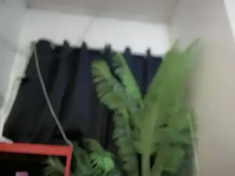 دردشة spicy_margaritaxxx الجنسية المباشرة