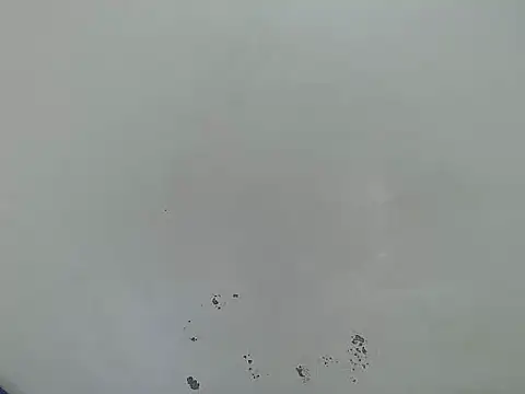 Rasta_tattooed Chat XXX live