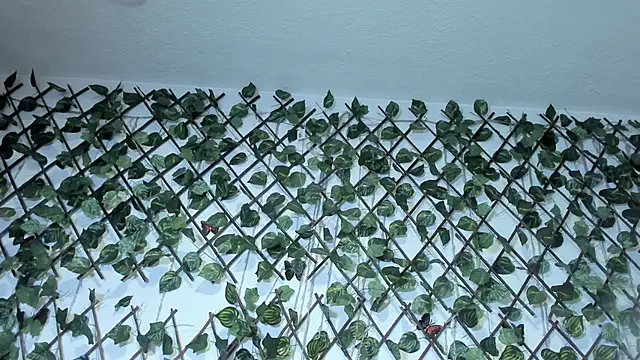 Živý XXX chat LittlePeach_