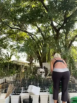 Chat +18 de ADRIANNA_FOX ao vivo