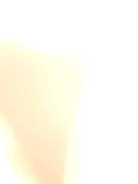 tandx webkamerás műsora