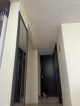 Melii_1 Live XXX-chat