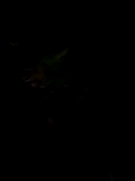 delfi6 现场XXX聊天