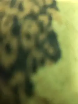 narutojeeva Show in webcam