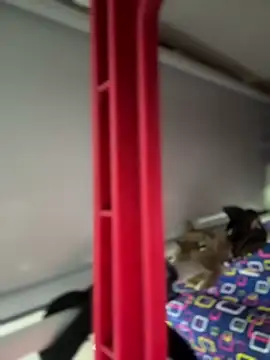 Czat XXX na żywo – Mila_Morgan