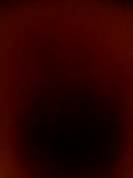 Pertunjukan Kamera Web Arshii