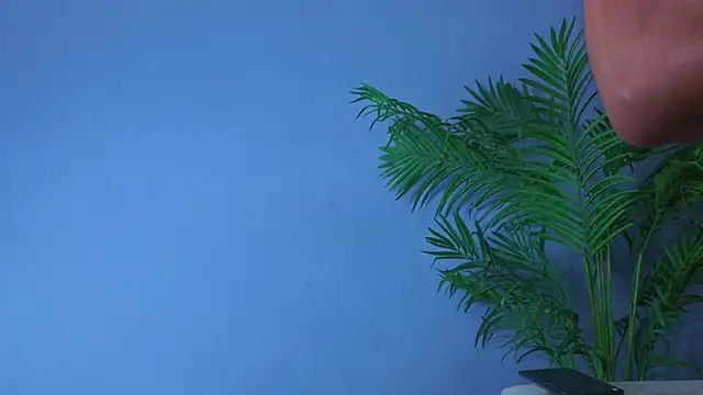 Živý XXX chat Chris_Varden