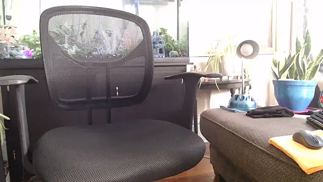 Živý XXX chat EspanolVato