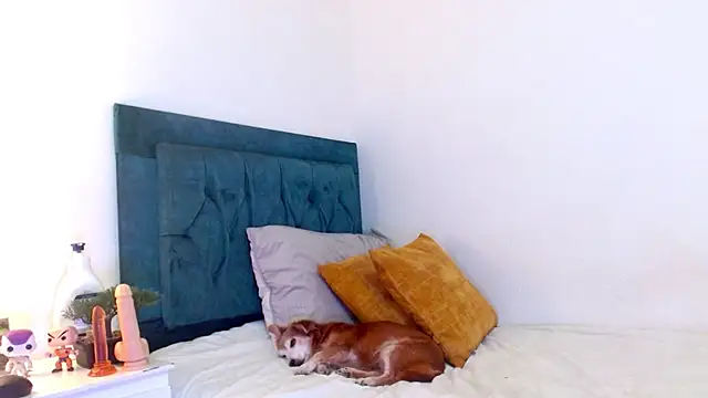 cedrixx10 Adlı Modelin Canlı XXX Sohbeti