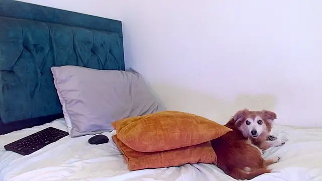 cedrixx10のライブXXXチャット