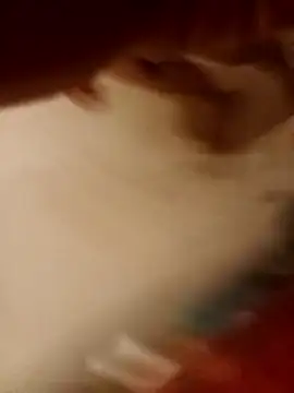 Seba357mのウェブカメラショー