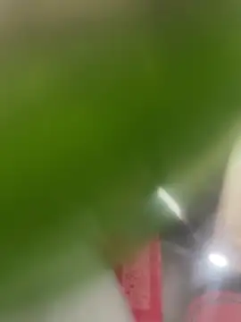 Mila_Morgan's Live XXX Chat