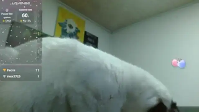 ZoeBakers_n Live XXX chat