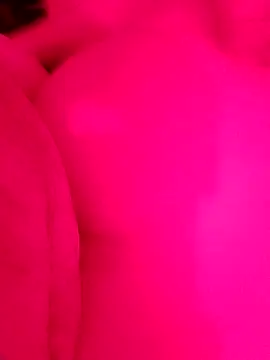 lawndad79: вебкам-шоу