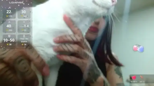 ZoeBakers_ 라이브 XXX 채팅