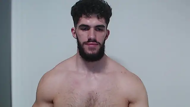 Show modela hiddenf na web-kameri