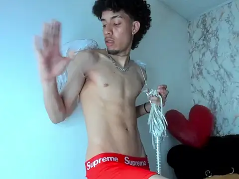 Ryder-Stonen Webbikameraesitys