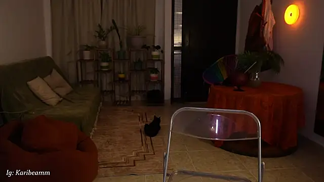 Živý XXX chat Karibeam