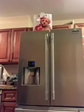 hailzeffn's Live XXX Chat