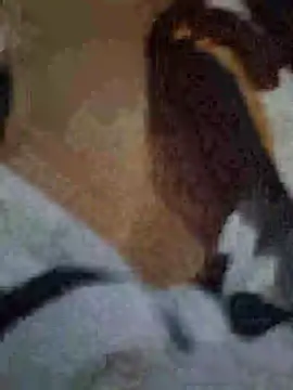 Show de cintia_love na webcam