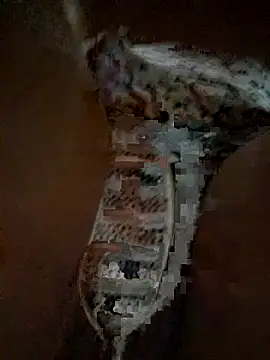 carol406's Live XXX Chat