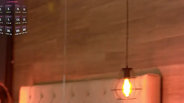 EvaHook Adlı Modelin Web Kamerası Şovu