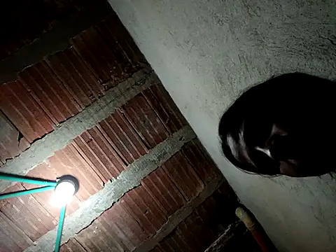 Giselabrunette25: онлайн-секс-чат