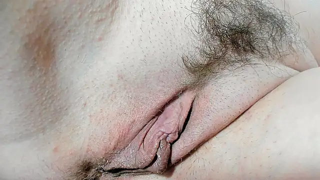 Chat +18 de Xollan_ ao vivo