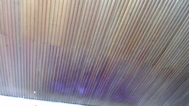 astrid_miller_1 Live XXX-Chat