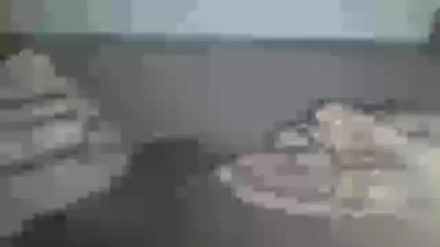 Czat XXX na żywo – chceciedalsiebie