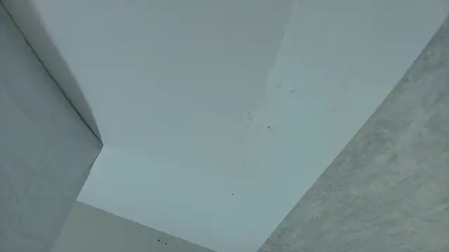 Czat XXX na żywo – ValerySilva