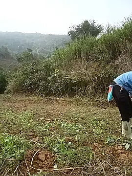 nangmo's Webcam Show