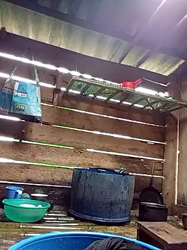 عرض كام Agnes-baby