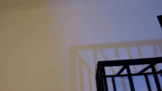 Chat XXX en directo de AuroraWishes